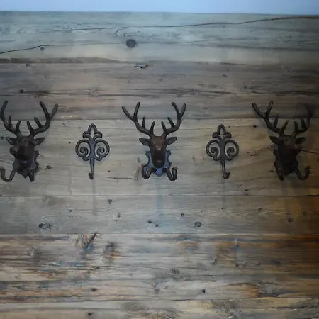 林塞霍夫费雷恩公寓酒店 *