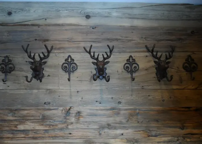 林塞霍夫费雷恩公寓酒店 *