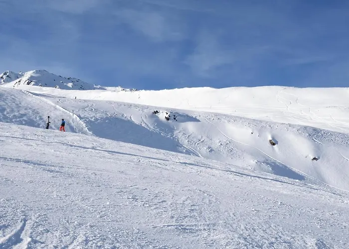 林塞霍夫费雷恩公寓酒店 *